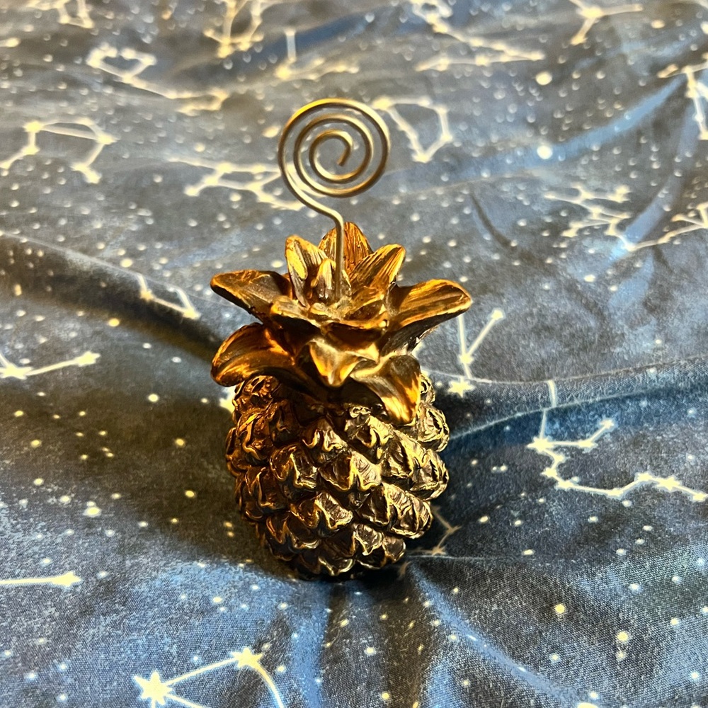 💜 Pineapple Picture / Note Holder